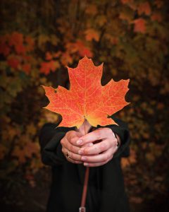 fall holiday audience empathy