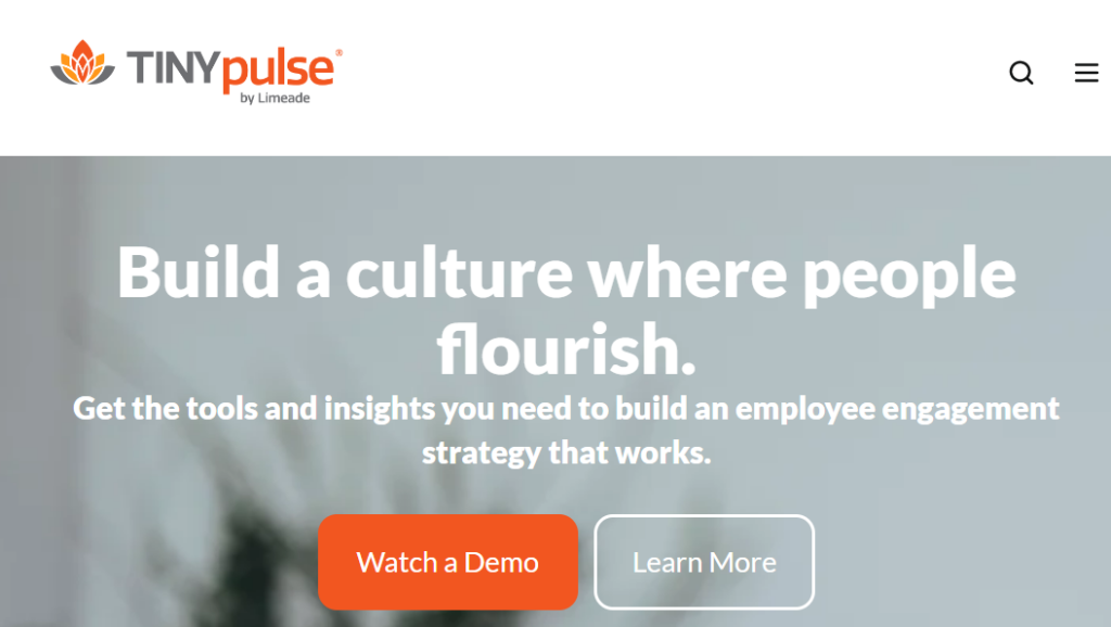 employee engagement software