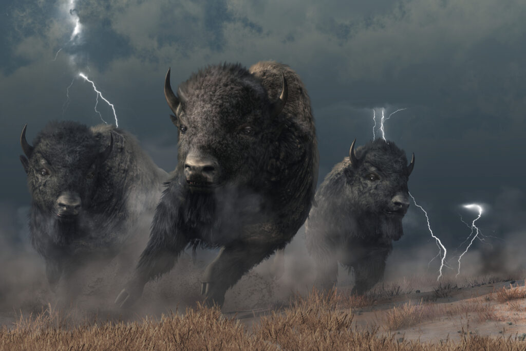 Three buffaloes running into a storm, illustrating how credit unions and community banks should be the buffalo