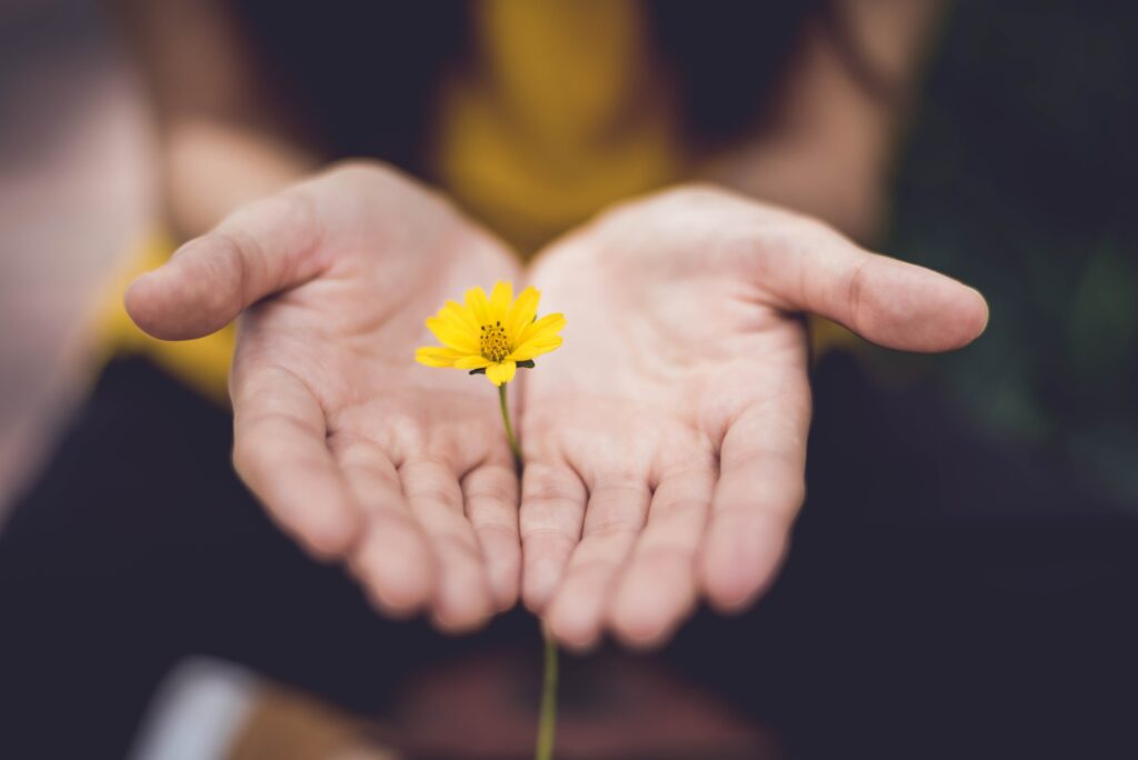 A yellow flower popping out of hands