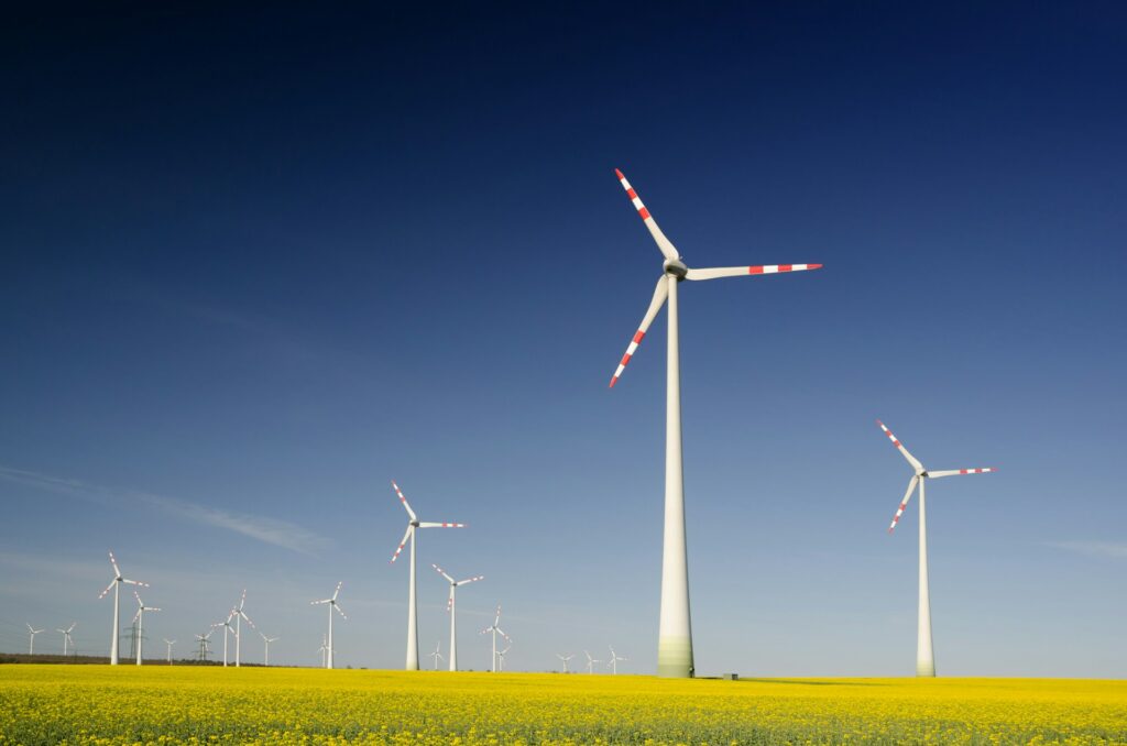 windmills represent sustainability